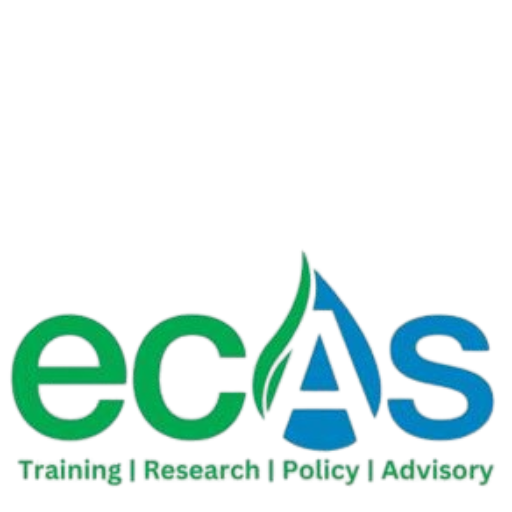 cropped-ecas_logo-removebg-preview-1.png